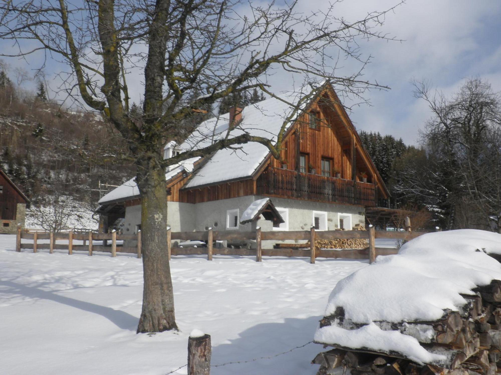 Ferienhaus "Zur Alten Schmiede" Mariahof Exterior foto